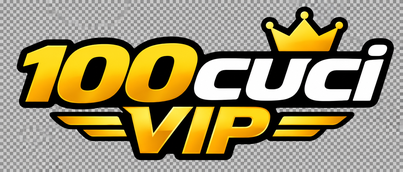 100cuci vip logo